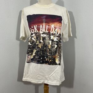 DGK‎ T shirt Mens Medium DGK All Day Graphic Y2K